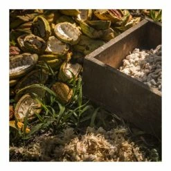 Chocolat de Couverture Noir Manjari 64% 250g Valrhona -Capfruit Shop chocolat de couverture noir manjari 64 250g valrhona 2