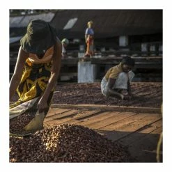 Chocolat de Couverture Noir Millot 74% Bio 250g Valrhona -Capfruit Shop chocolat de couverture noir millot 74 bio 250g valrhona 2