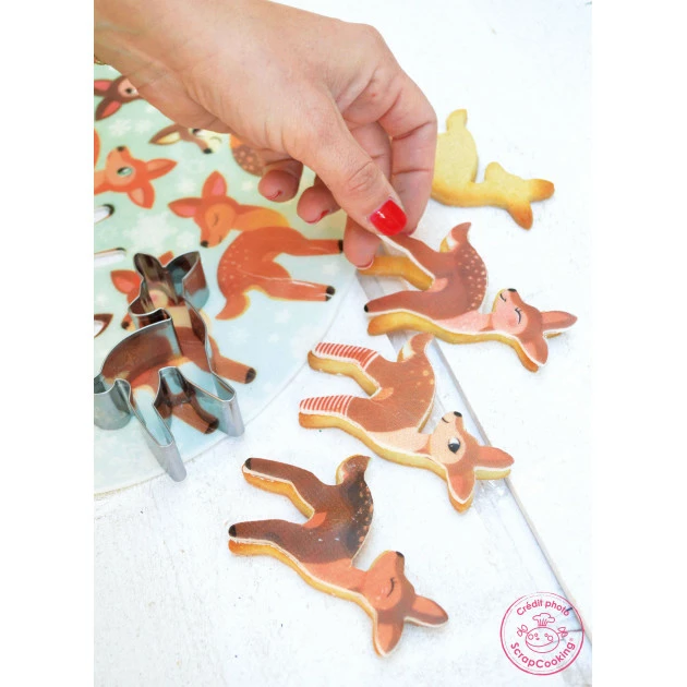 Kit Easy Biscuits Forêt Enchantée (Pâte à Sucre 150 g + Découpoir) Scrapcooking 3 Kit Easy Biscuits Forêt Enchantée (Pâte à Sucre 150 g + Découpoir) Scrapcooking – Image 3